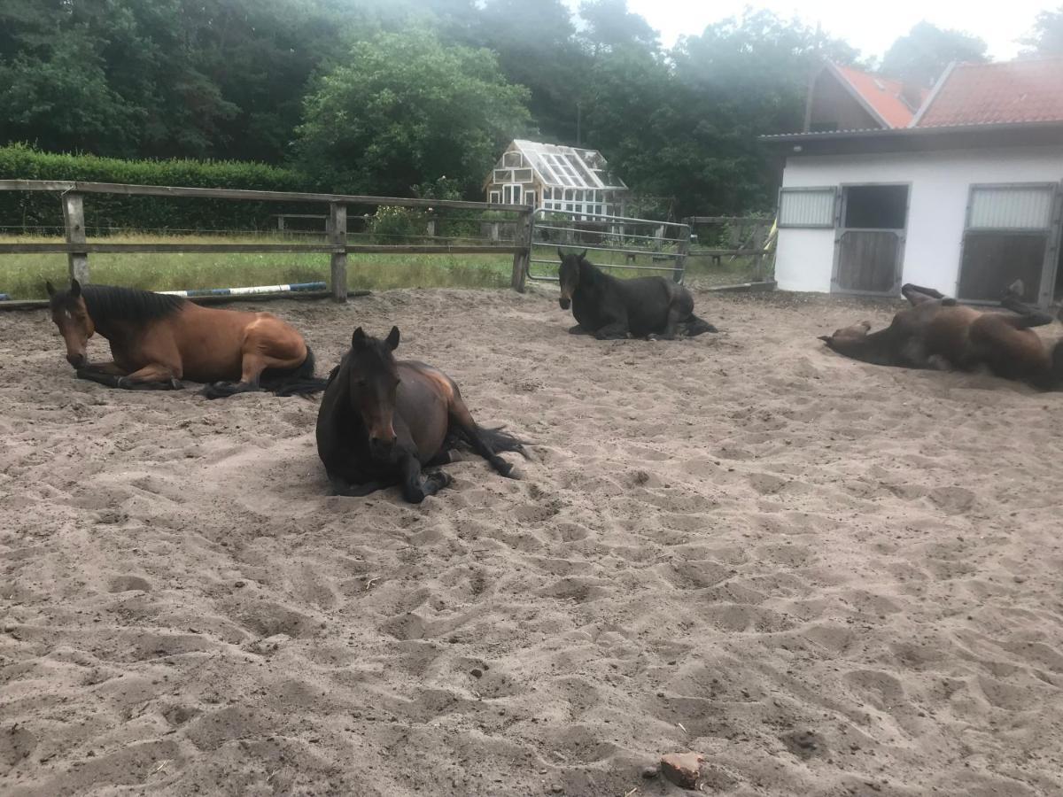 Apartament Alter Bahnhof Otersen Kirchlinteln Zewnętrze zdjęcie